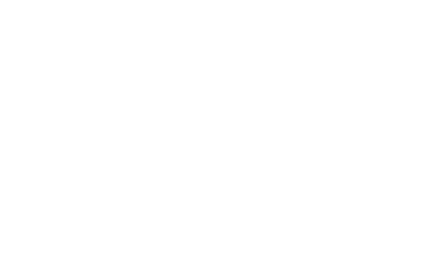 Andes Technology Corporation